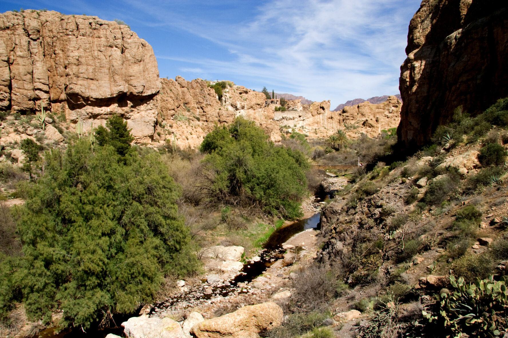 The Boyce Thompson Arboretum is nearly 400 acres within the Sonoran Desert.
