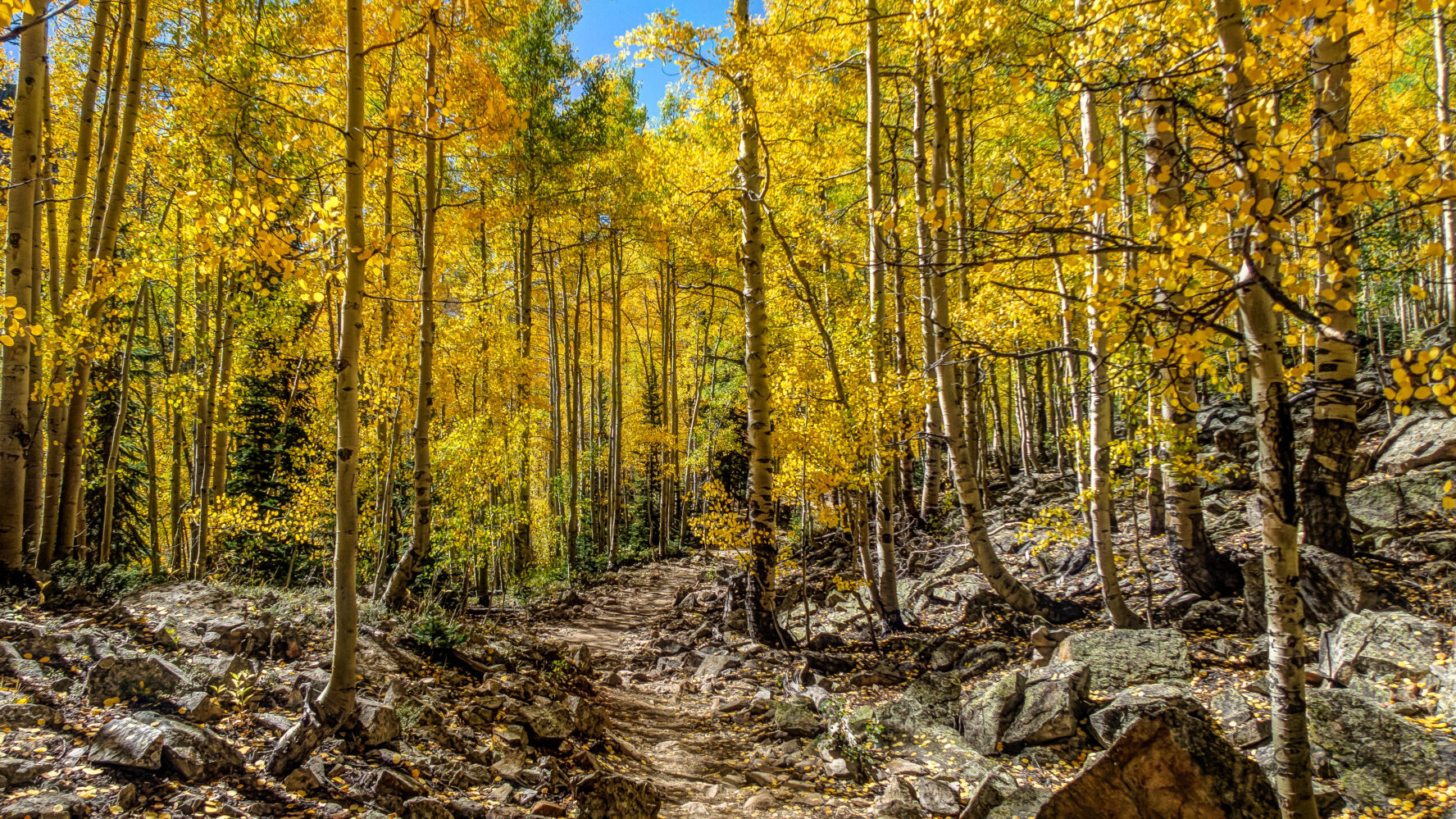 Maroon Bells is one of the most popular hiking areas in Colorado for a reason, it’s beautiful!
