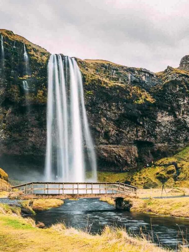 Hiking in Laugavegur Valley and South Coast