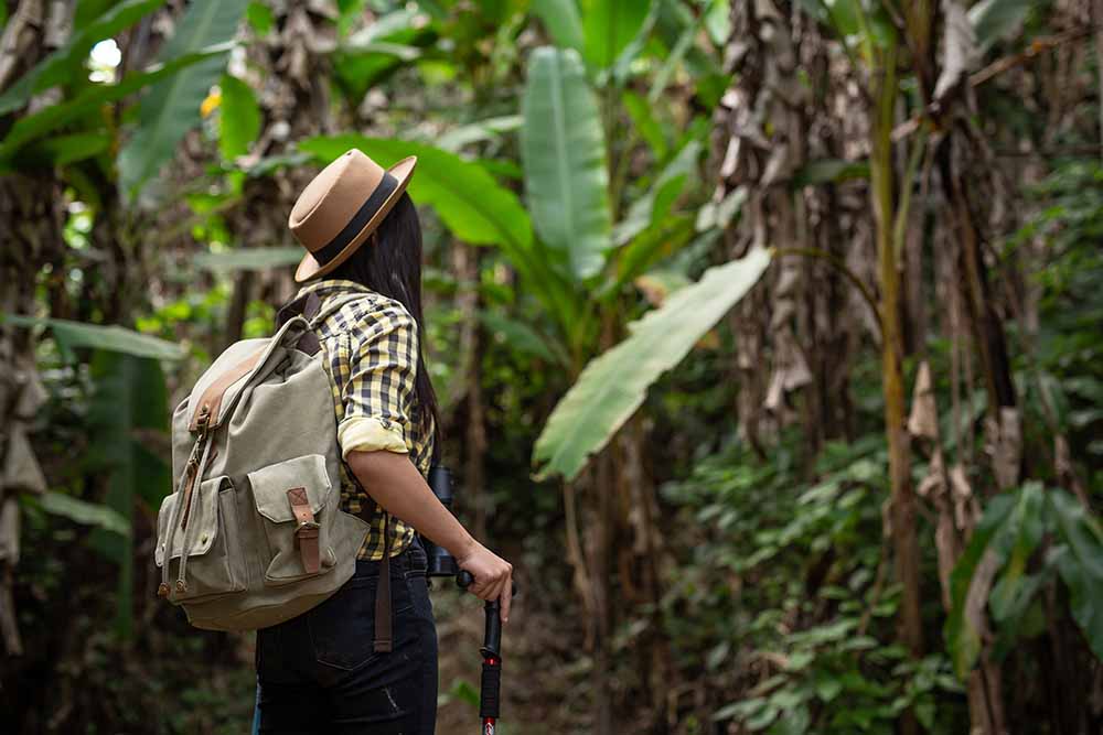 A woman watching the plants growing in Corcovado