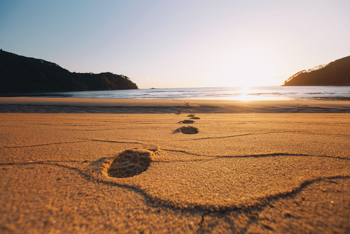 Footprints in the sandy coastline of Abel Tasman