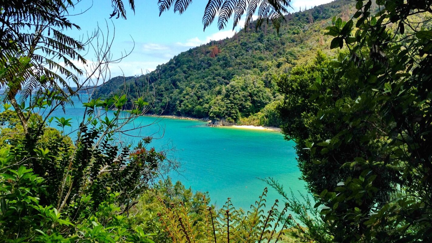 A view of the Abel Tasman Coast.