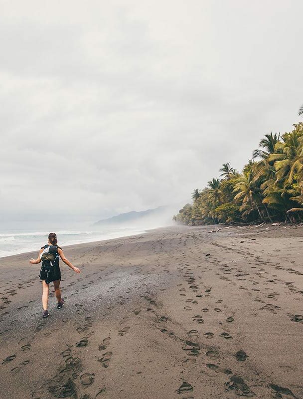 Guided 1-Day Hiking Tours, Corcovado, Costa Rica