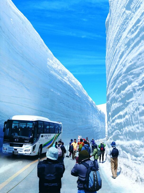 Guided Backcountry Skiing in Japan, Hokkaido, Sapporo