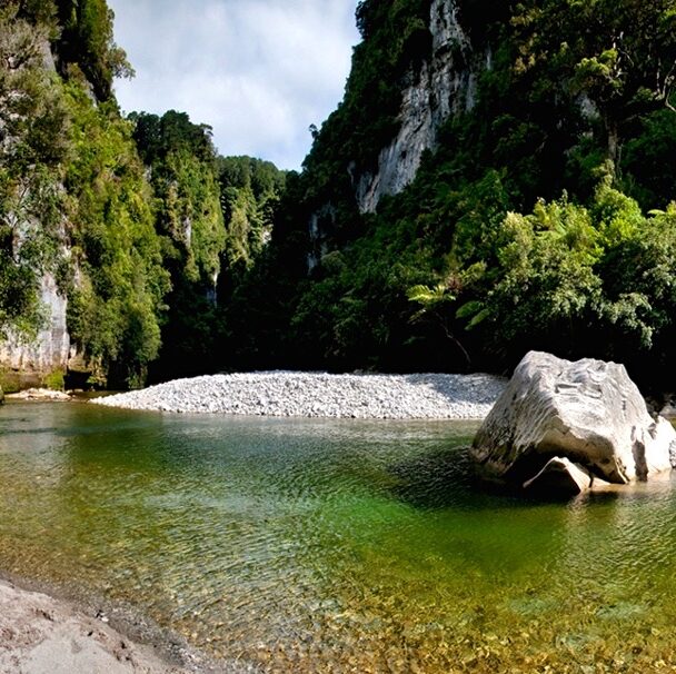 Hiking Tour of New Zealand’s Southern Island