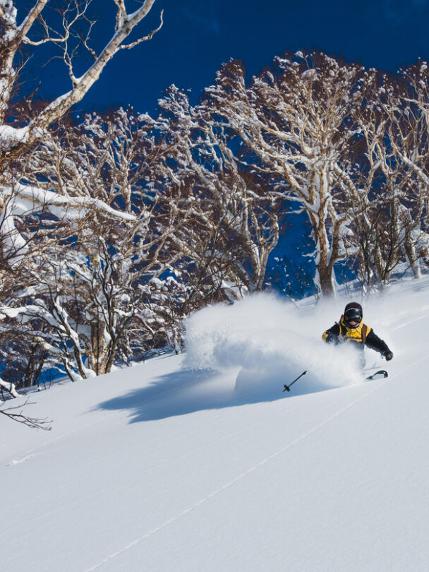 Guided Backcountry Skiing in Japan, Hokkaido, Sapporo