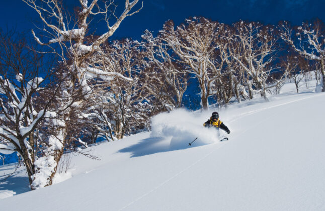 Guided Backcountry Skiing in Japan, Hokkaido, Sapporo