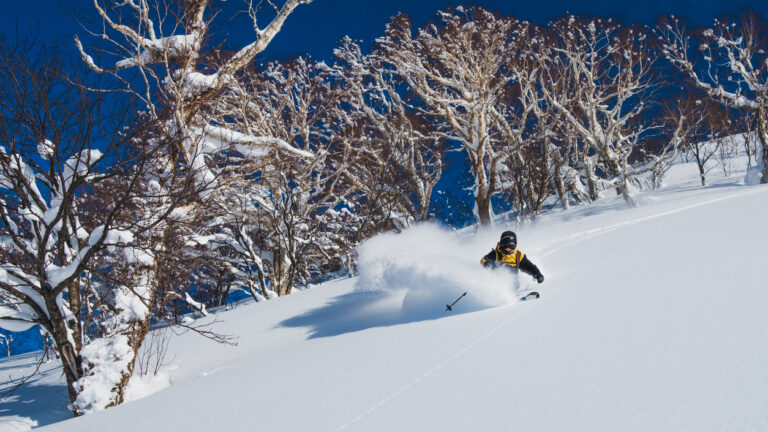Guided Backcountry Skiing in Japan, Hokkaido, Sapporo