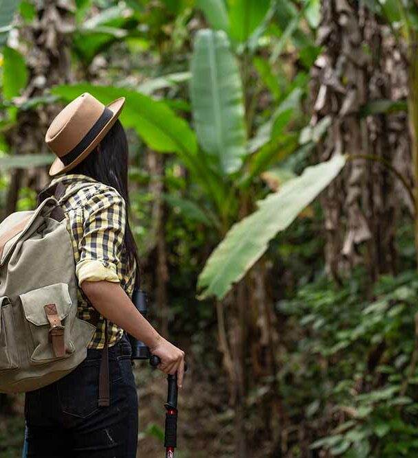 Guided 1-Day Hiking Tours, Corcovado, Costa Rica