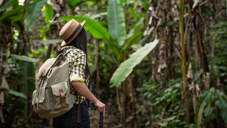 Guided 1-Day Hiking Tours, Corcovado, Costa Rica