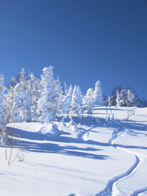 Guided Backcountry Skiing in Japan, Hokkaido, Sapporo