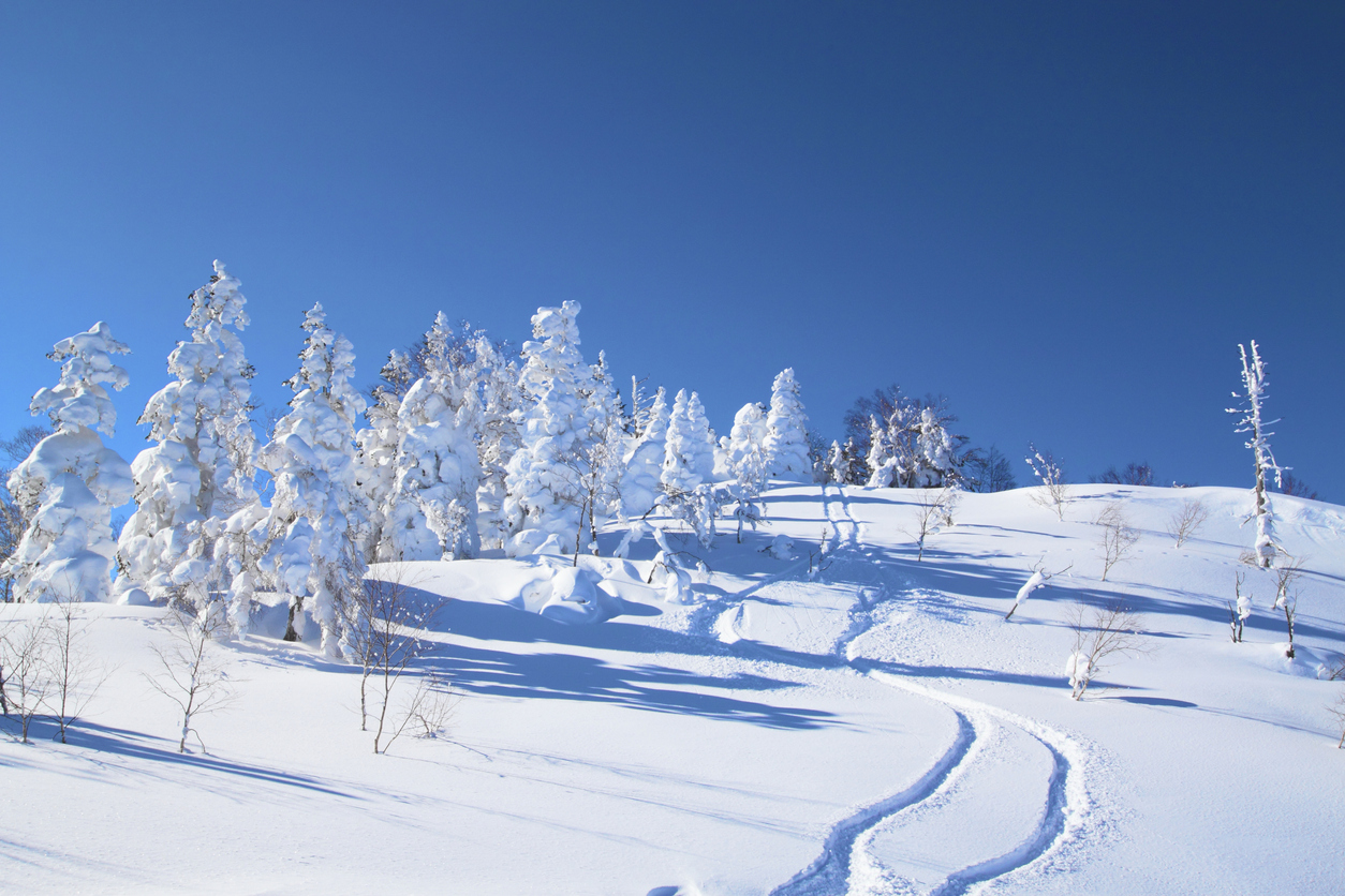 ski run in Appi Hachimantai Iwate Touhoku Japan