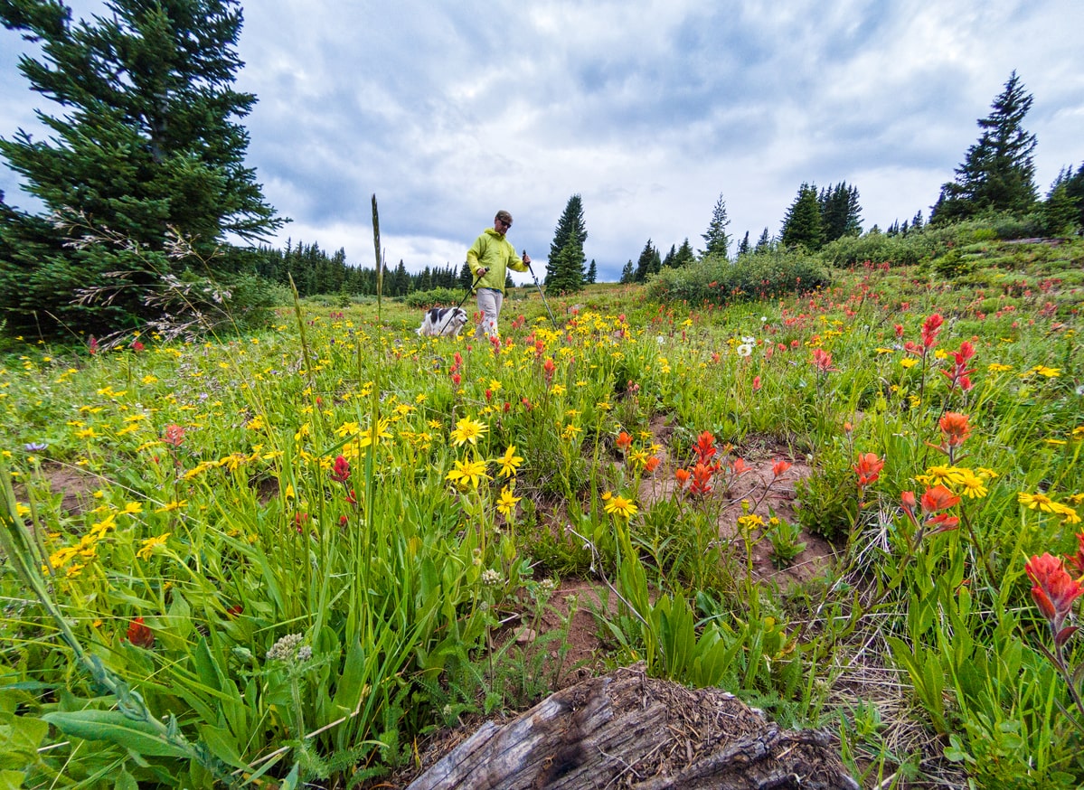 A man and dog hiking in Colorado