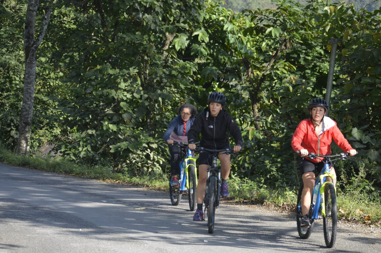 Mountain bikers cycling on a road in Sikkim
