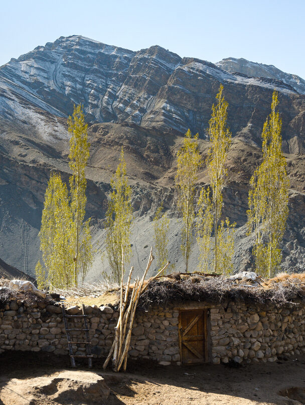 Hiking the Sham Valley trek in India