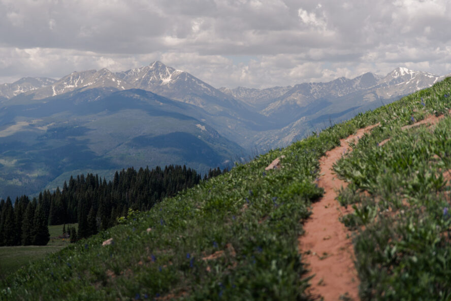 vail-mountain-biking-trail