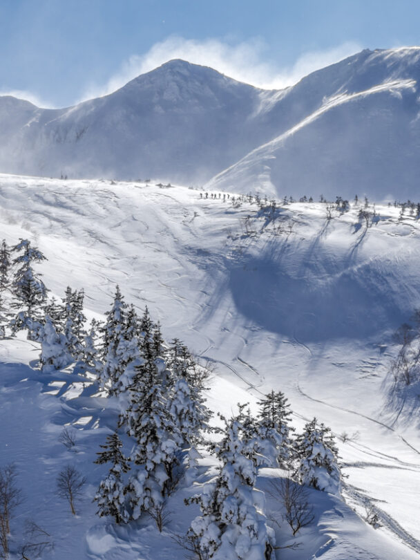Guided Backcountry Skiing in Japan, Hokkaido, Sapporo