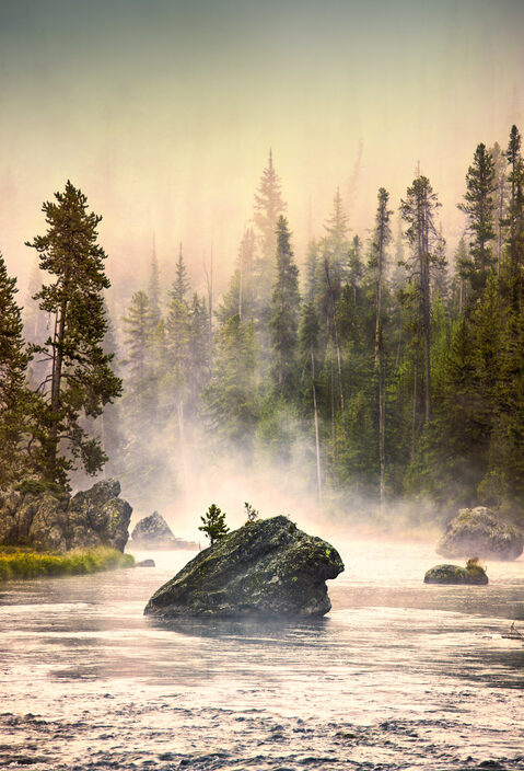 Rock in Firehole River in early misty morning near Madison Junction in Yellowstone National Park