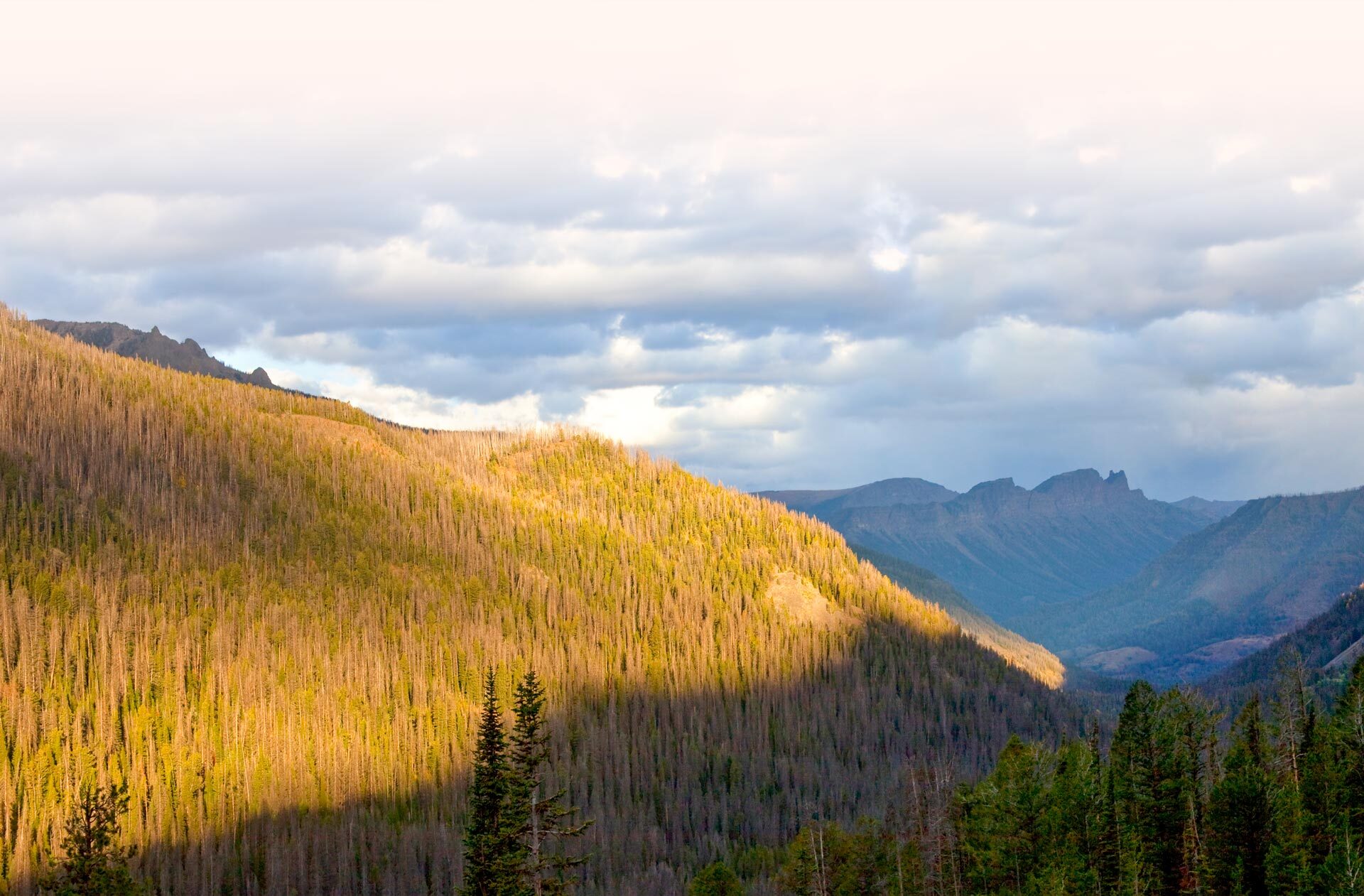 Parallax Background, yellow mountains and blue cloudy skies