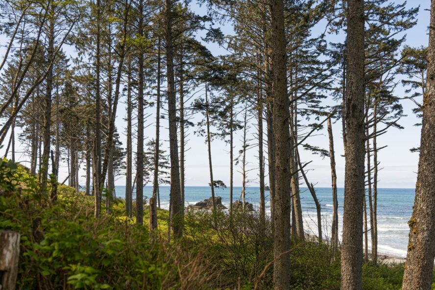 There are 73 miles of wild coastline to hike and explore in Olympic National Park.