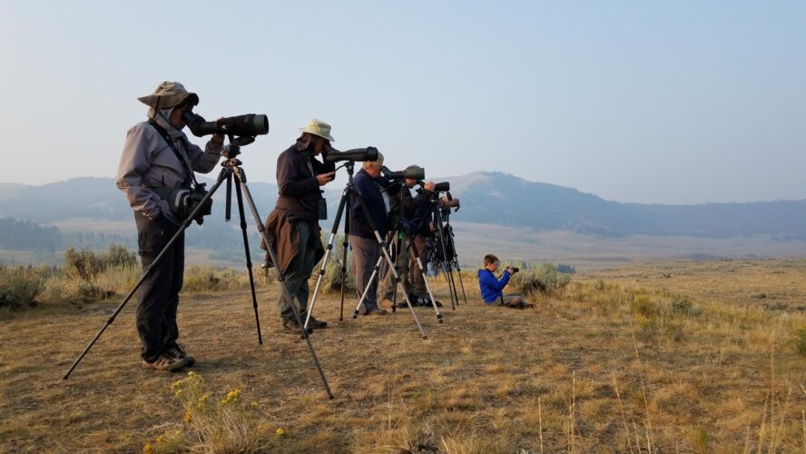 Some of the best ways to take wildlife photography and have animal sightings in yellowstone is with long range spotting scopes.
