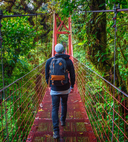 Tourist walking on a hanging suspension bridge in the jungle of Monteverde Cloud Forest, Costa Rica