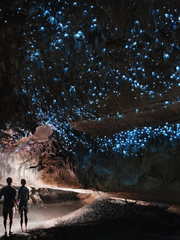 Guided Hiking tour of New Zealand North Island