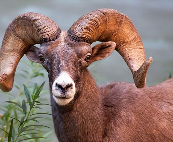 Multi-Day Hiking Tours in the Grand Canyon