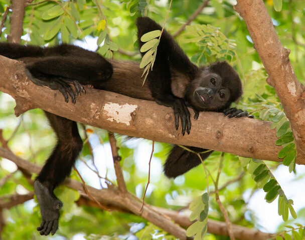 Hiking and Multisport Tour of Costa Rica