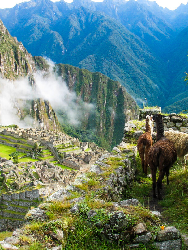 Guided Tour of Machu Picchu by Train, Peru
