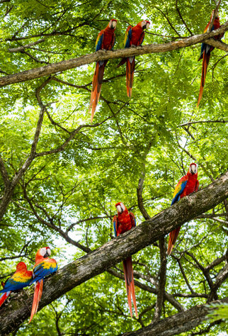 Hiking and Multisport Tour of Costa Rica