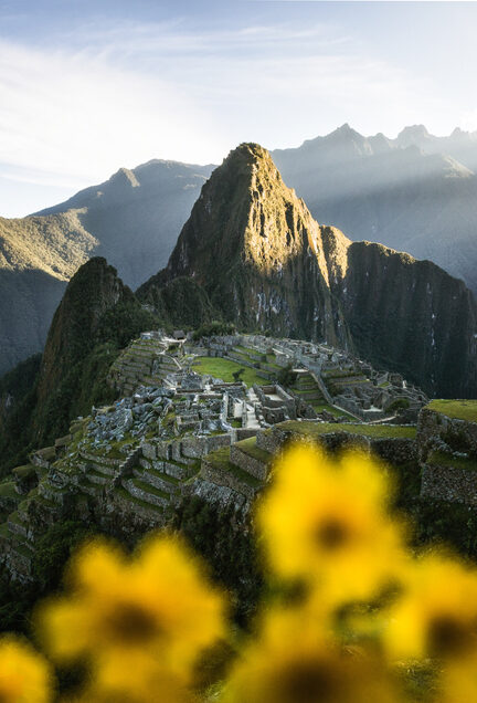 Landscape image of Machu Picchu shortly after sunrise. Peru has numerous scenic destinations and this tops the list as one of the Ancient Wonders of the World. Yellow flowers were captured in the foreground to capture depth and add another element to the image.