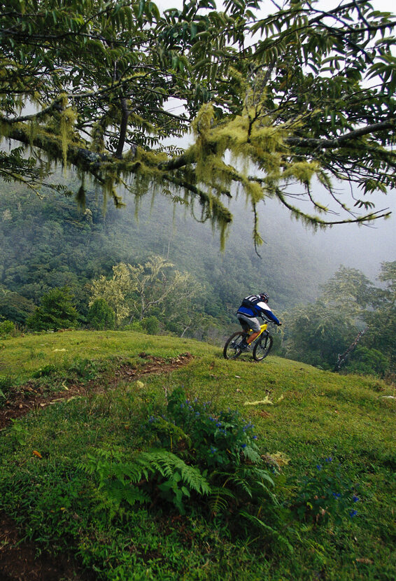 A man rides a downhill mountain bike trail in Costa Rica.