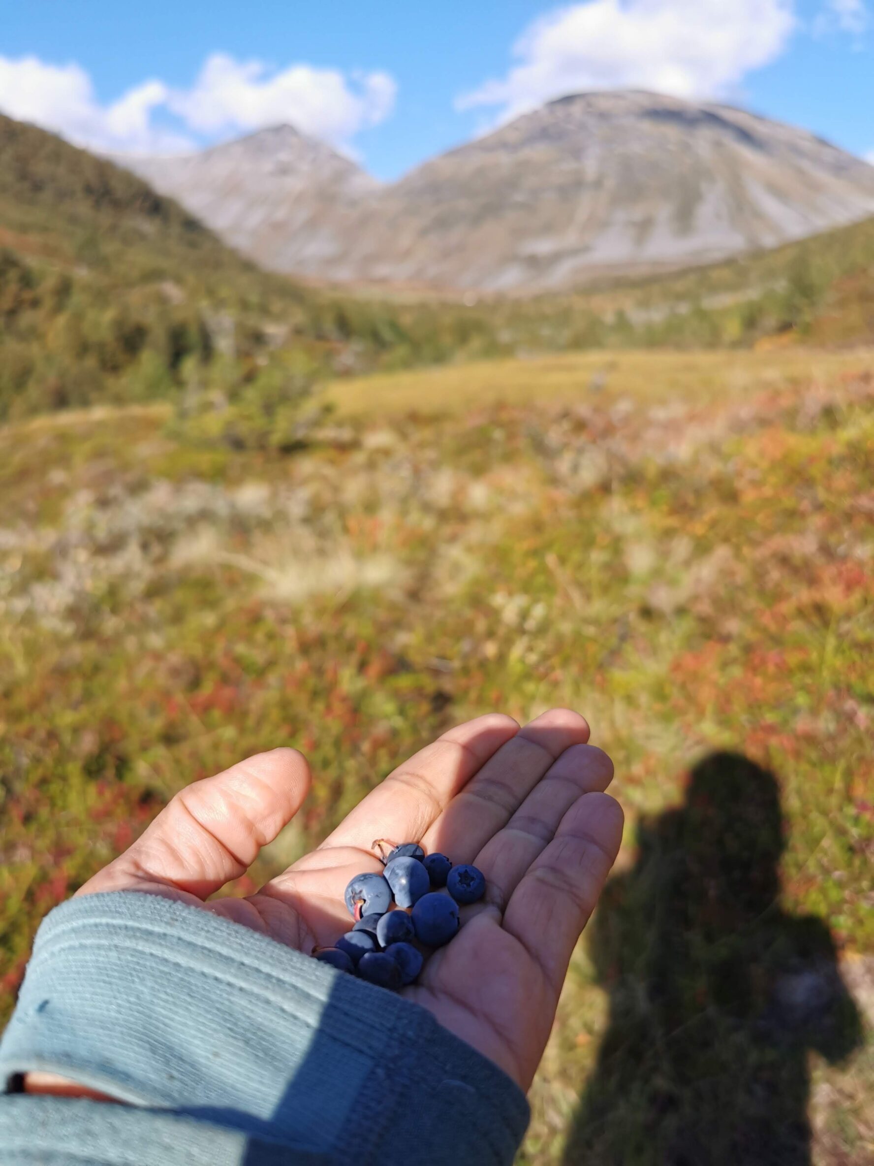 A hiker showing off some local berries in Norway