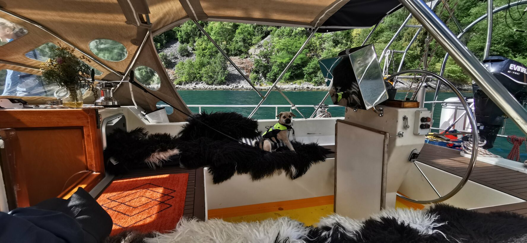 A dog with a life vest relaxing on a sailboat in Norway