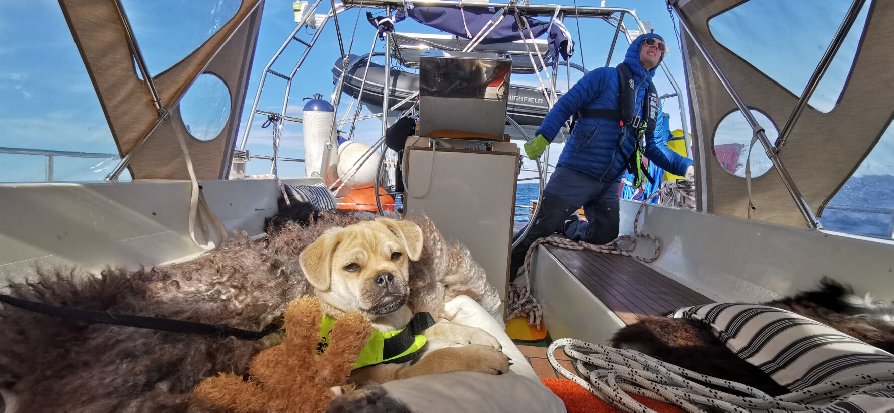 A captain and a dog on a sailboat