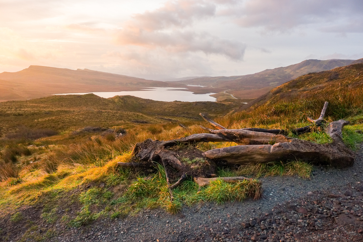Panorama of the hiking location.