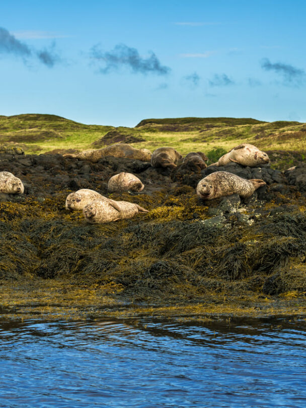 A smiling hiker walking along the shore of Loch Coruisk, the Cuillin Hills in the background