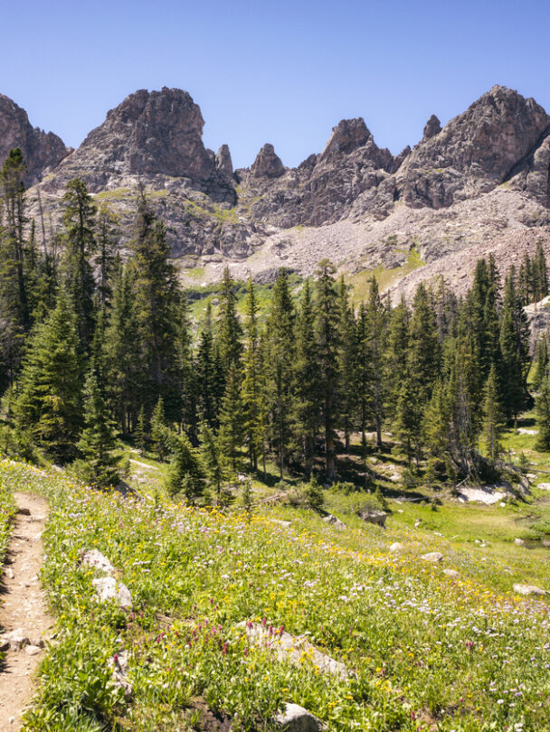 Women’s Mountain Biking Courses in Summit County
