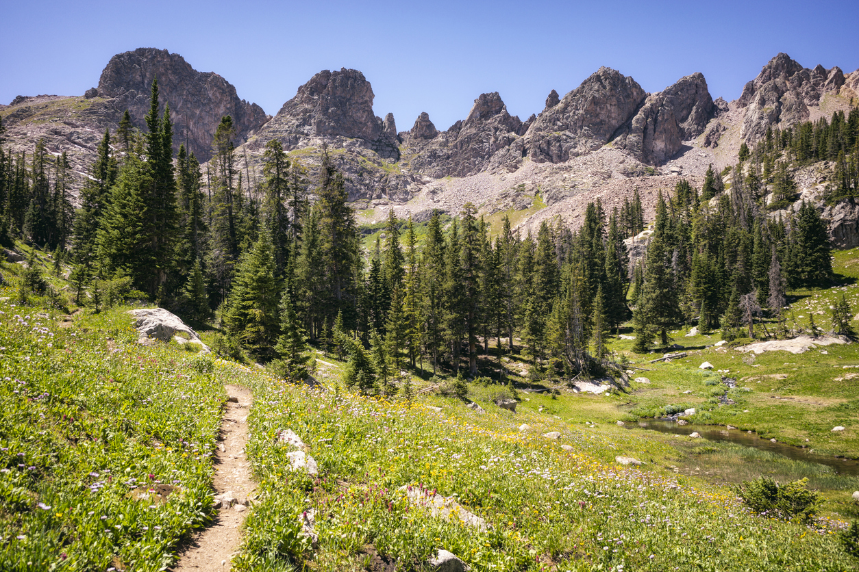 A trail running from Silverthorne, Summit County