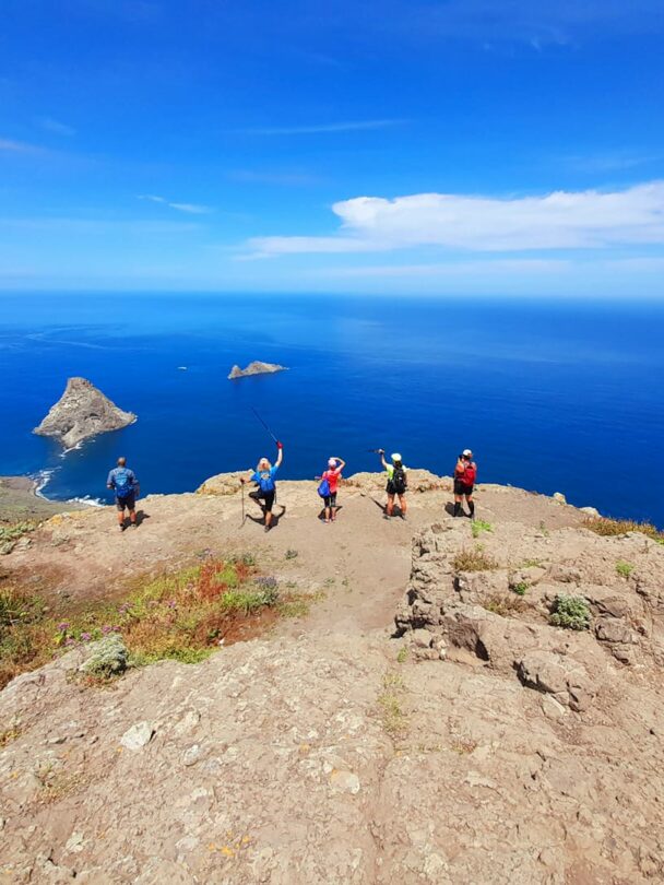 Half-Day Hiking Tours in Tenerife