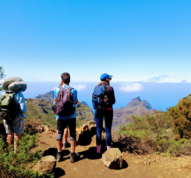 Half-Day Hiking Tours in Tenerife