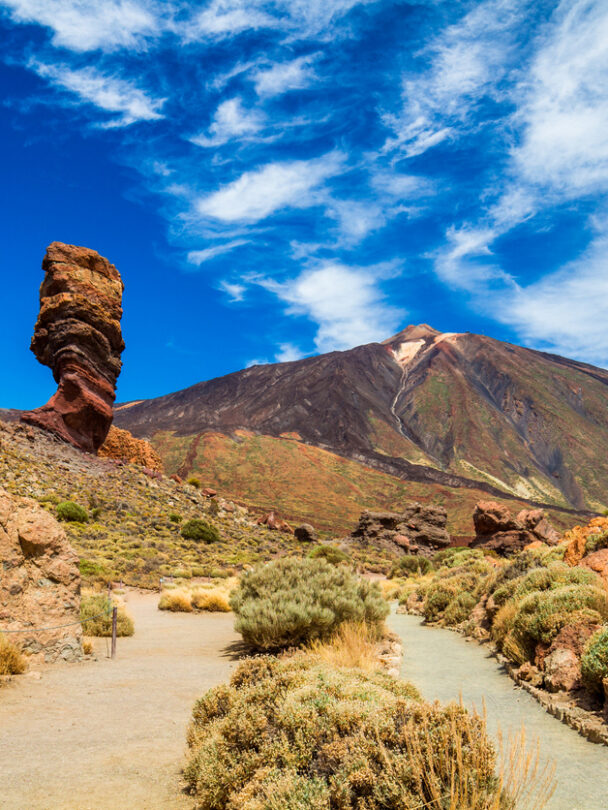 Half-Day Hiking Tours in Tenerife