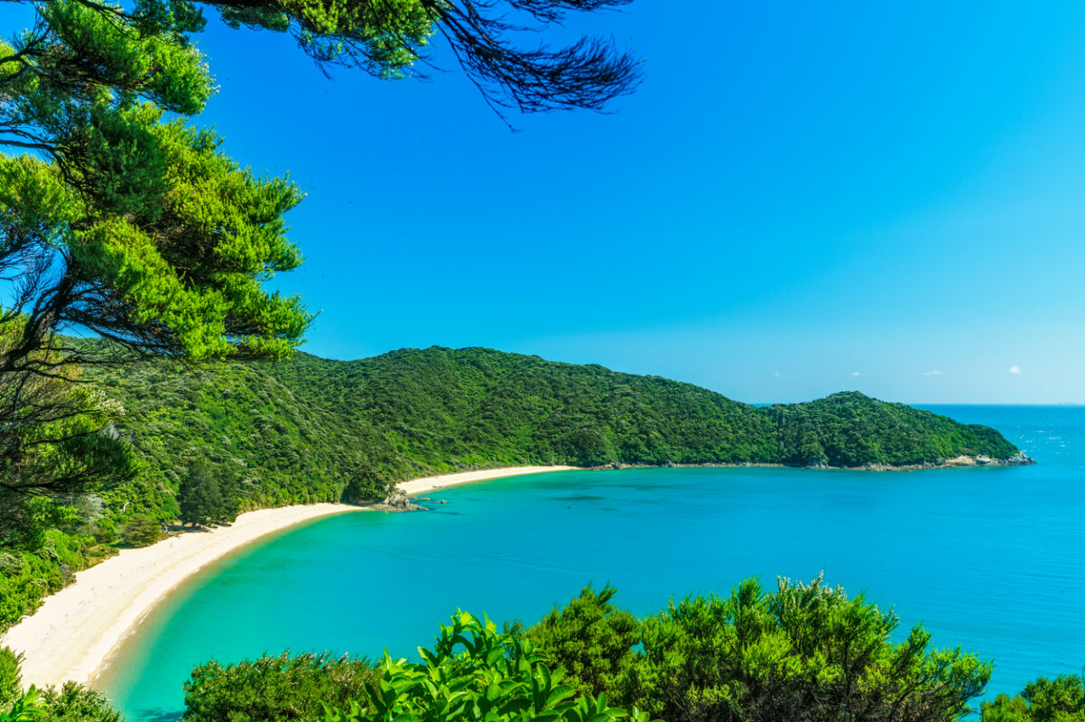 Aerial view of a long crescent-shaped sand beach with a tree-covered hill following the shore line. 