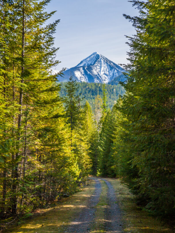 Mountain Biking in the West Kootenays.