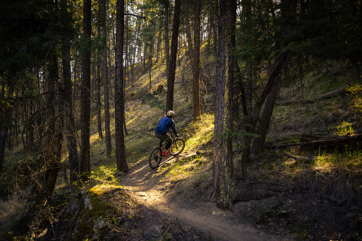 Mountain Biking in the West Kootenays.