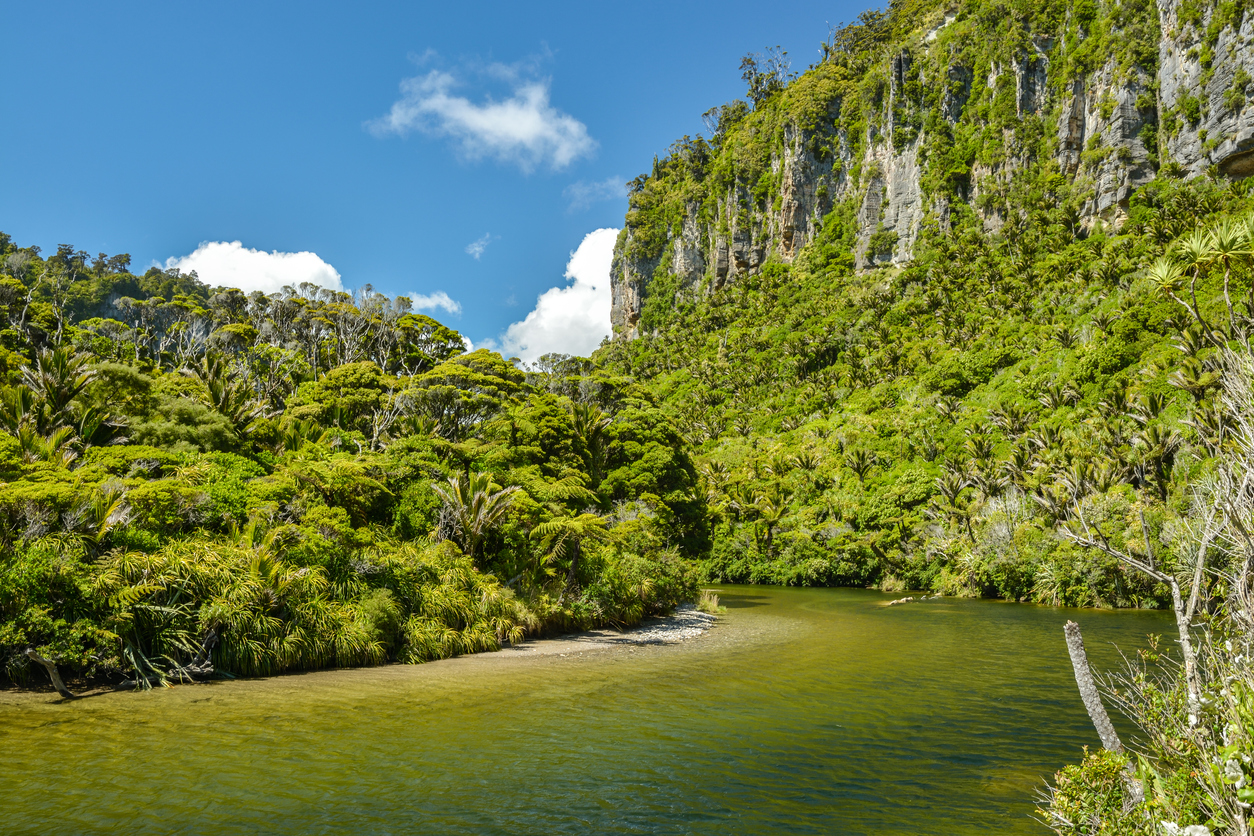 View of the river inside of a rainforest with tropical trees to its left and a steep cliif covered with plants on its right.