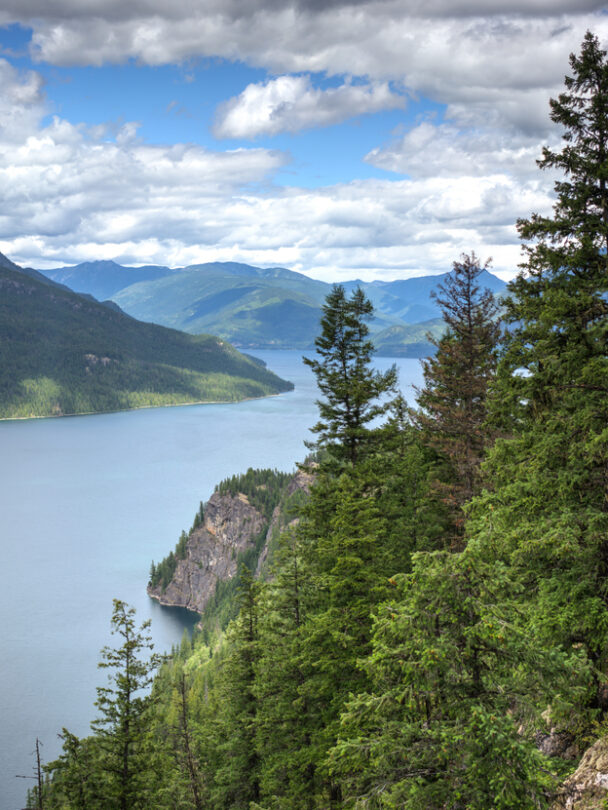Mountain Biking in the West Kootenays.