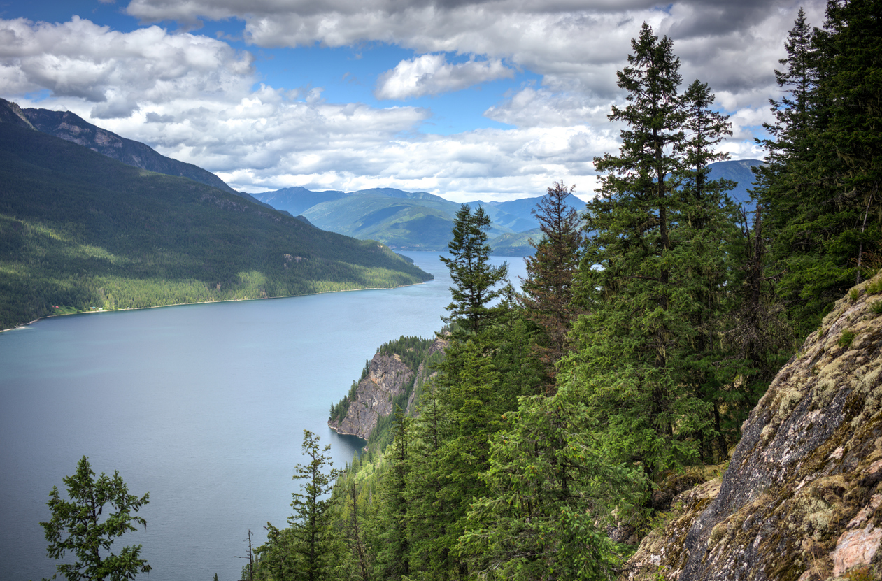 View of Slocan Lake with trees in the foreground.
