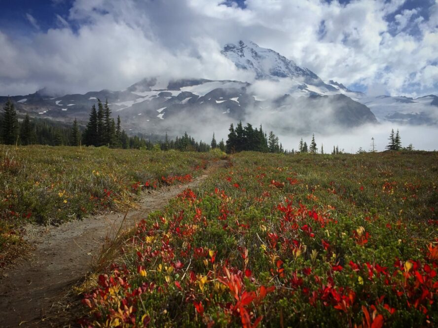 Naches Peak Loop gives way to bright red foliage, fog, and low hanging clouds, partially constructing views of Mount Rainier.